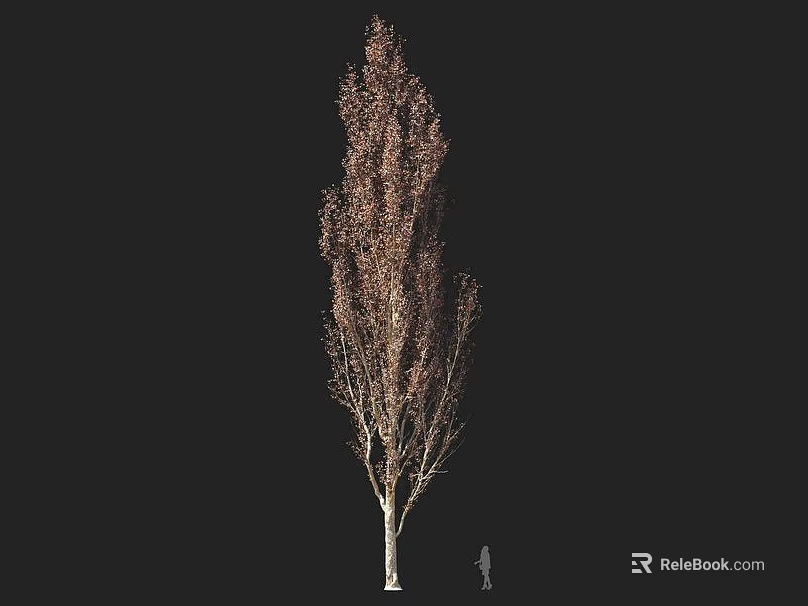 Slender White Trunk Arbor With Brown Foliage And Human Figure For Scale On Dark Background 3d model 