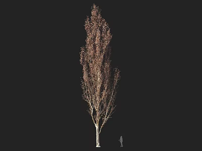 Slender White Trunk Arbor With Brown Foliage And Human Figure For Scale On Dark Background 3d model
