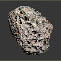 Stunning Green Porous Coral Structure With Intricate Natural Hole Patterns