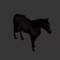 Durable High Quality Equestrian Sports Equipment For Brown Horse Riding Training