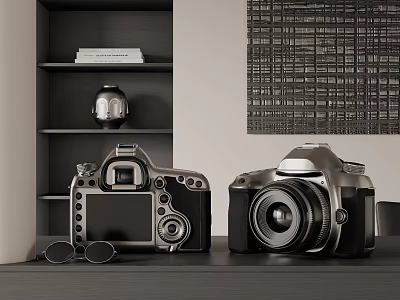 Digital Cameras Displayed On Table Near Shelves And Wall Decor 3d model