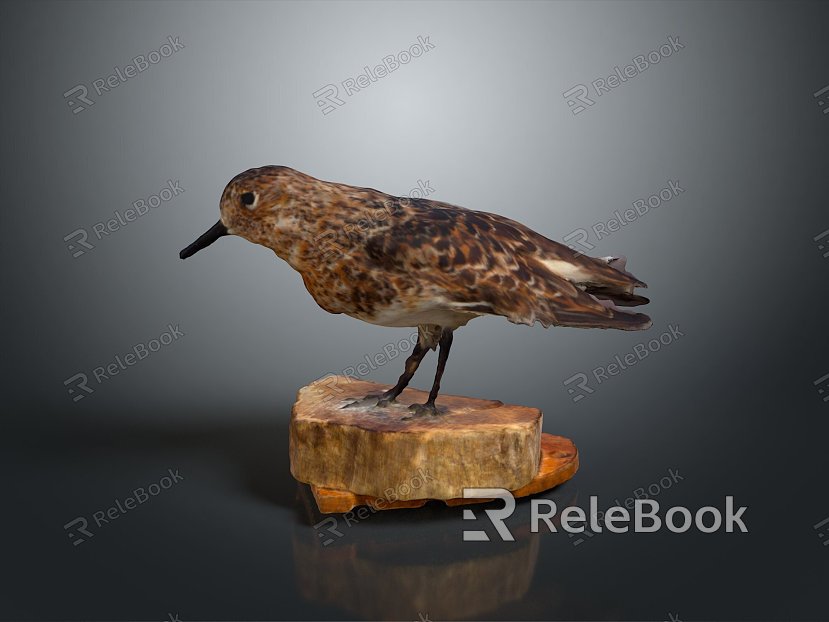 bird bird bird bird game animal cartoon animal animal realistic animal model