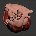 Heart Heart Human Heart Heart Anatomical Organs Human Organs Human Body 3d model