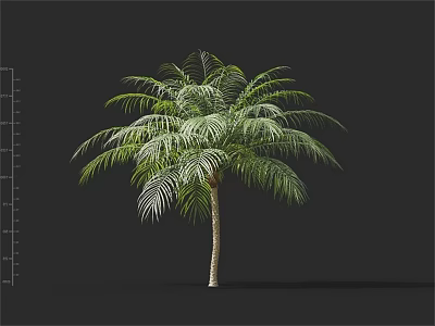 Modern Tree Loafer 3d model Modern Tree Loafer 3d model