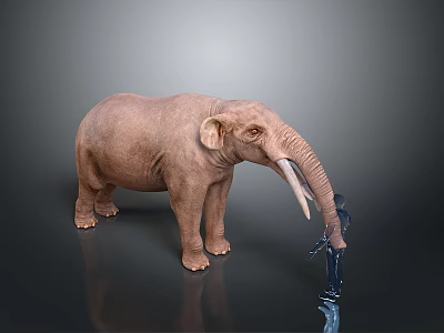 Brown Elephant With Tusks Interacting With Small Figure On Gray Background And Reflective Surface 3d model