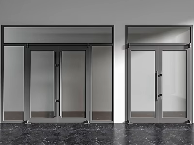 Modern Double Doors With Metal Frame And Glass Panels In White Wall Interior 3d model