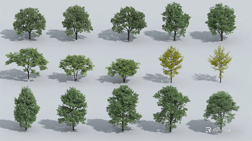 Various Green Leafy Arbor Trees With Different Crown Shapes And Shadows 3d model