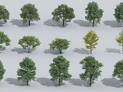 Various Green Leafy Arbor Trees With Different Crown Shapes And Shadows 3d model