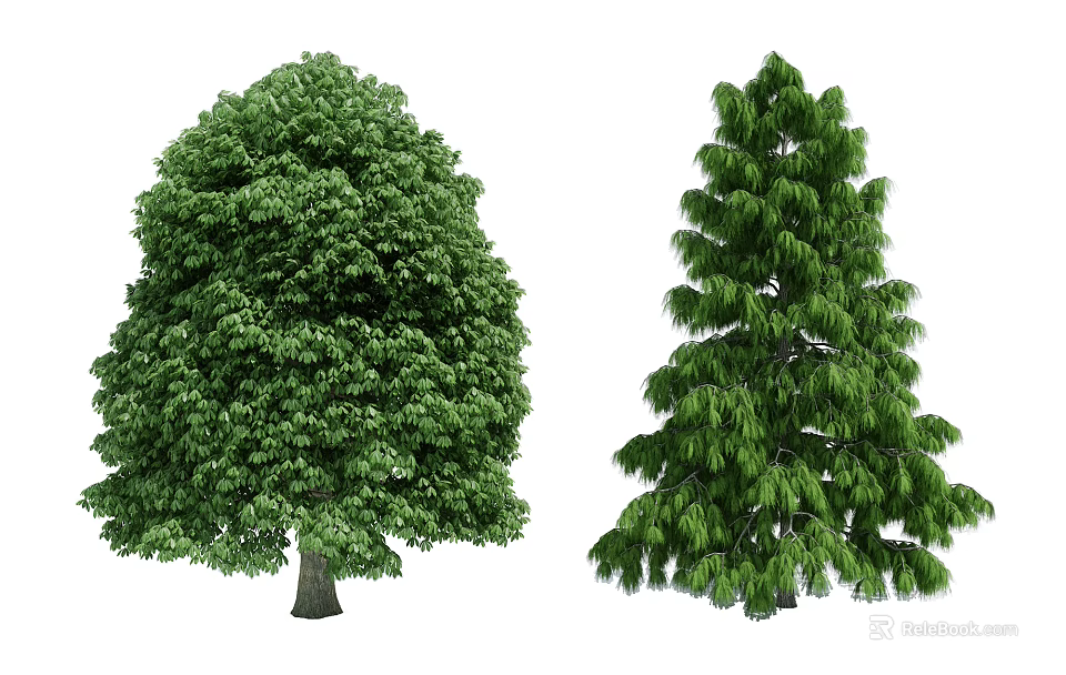 Two Lush Green Arbor Trees Featuring Broadleaf And Coniferous Canopies 3d model 