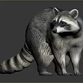 Realistic Raccoon With Gray Fur Striped Tail And Shiny Surface Reflection