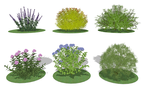 Modern Shrub Spherical Shrub Flower Landscape Plant 3d model