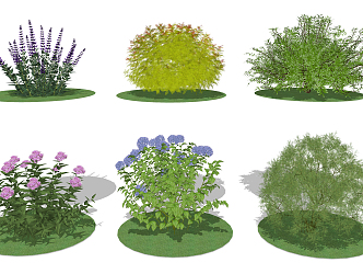 Modern Shrub Spherical Shrub Flower Landscape Plant 3d model