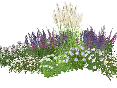 Vibrant Plant Combination With Purple Blooms White Flowers And Tall Grasses 3d model