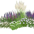 Vibrant Plant Combination With Purple Blooms White Flowers And Tall Grasses