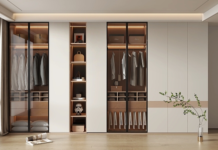 Modern home wardrobe 3d model