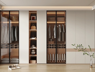 Modern home wardrobe 3d model