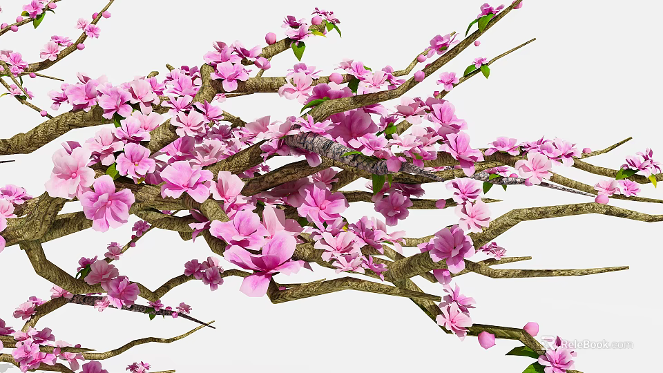 Blooming Flowering Tree with Pink Blossoms and Green Leaves on Branches 3d model 