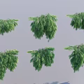 Six Green Trees With Various Forms Displayed Against Gray Background 3d model