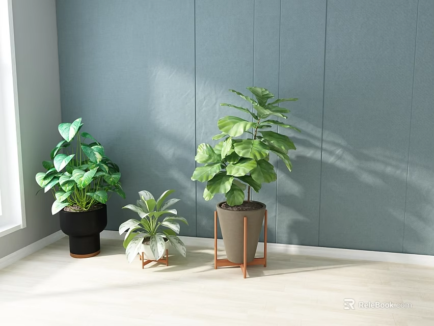Indoor Potted Plants with Different Pots Stands Light Blue Wall Light Floor and Window Light 3d model 