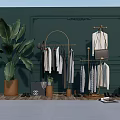 Clothes Rack With Hanging Clothes Large Leaf Plant And Bag In Dark Green Decorative Room
