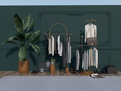Clothes Rack With Hanging Clothes Large Leaf Plant And Bag In Dark Green Decorative Room 3d model