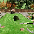 Scenic Park Landscape Featuring Palm Trees Wooden Fence Bears Small Cabin Green Grass And Visitors