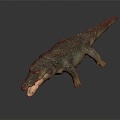 Modern Crocodile Alligator Nile Crocodile carnivore 3d model