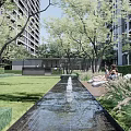 Residential Landscape with Modern Apartment Building Lush Trees Green Lawn and Recreational Space