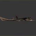 Black and Brown Striped Fish with Streamlined Body Long Tail and Fins