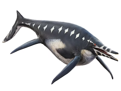 Prehistoric Marine Reptile With Streamlined Body Dorsal Spines Open Mouth Sharp Teeth And Flipper Limbs 3d model