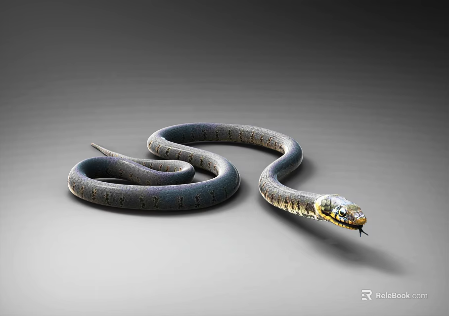 Blue Coiled Snake With Yellow Head And Body Patterns On Gray Background 3d model 