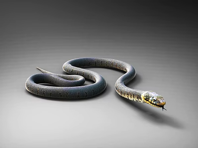 Blue Coiled Snake With Yellow Head And Body Patterns On Gray Background 3d model
