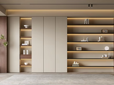 Modern Built in Sleek Bookshelf With LED Lighting And Neutral Tone Decorative Items 3d model