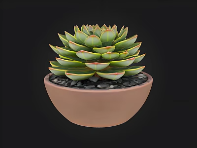 Vibrant Green Succulent Plant In Brown Ceramic Pot With Black Pebbles 3d model
