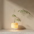 Bonsai Potted Plant with Slender Green Hanging Leaves in Light Yellow Cylindrical Pot