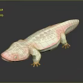 Pink And White Spotted Axolotl With Glowing Eyes Lying On Dark Background With Reflection