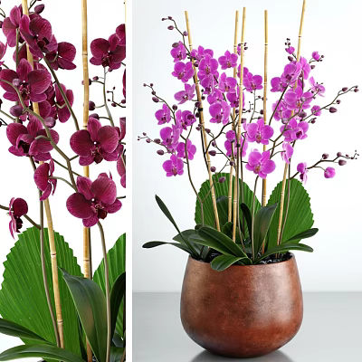Purple Orchid Potted Plant with Bamboo Stems Green Leaves and Brown Ceramic Pot 3d model
