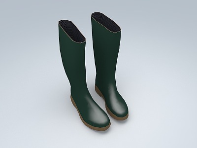 Rubber shoes Rain boots Insulated shoes 3d model