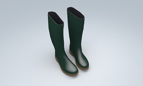 Rubber shoes Rain boots Insulated shoes 3d model