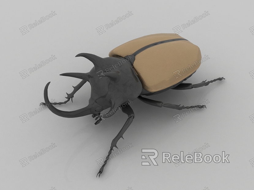 modern beetle insect model