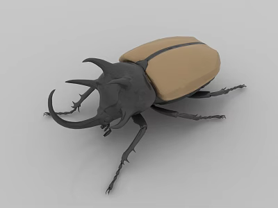 Realistic Rhinoceros Beetle 3D Model With Large Horns And Tan Colored Carapace On Gray Background 3d model