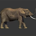 Realistic Elephant Model With Large Tusks Big Ears And Raised Trunk