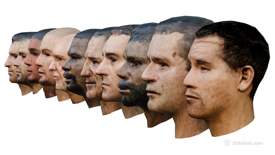 Men with Diverse Side Profile Heads Arranged in a Row Showing Varied Features 3d model 