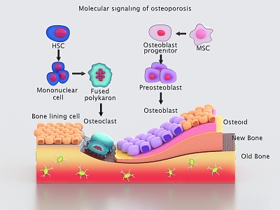 cell molecule cancer bone cell tissue structure microbiological medicine 3d model