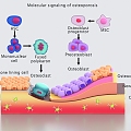 cell molecule cancer bone cell tissue structure microbiological medicine 3d model