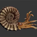 Intricate Handcrafted Ammonite Sculpture With Detailed Tentacles And Artistic Shell Design