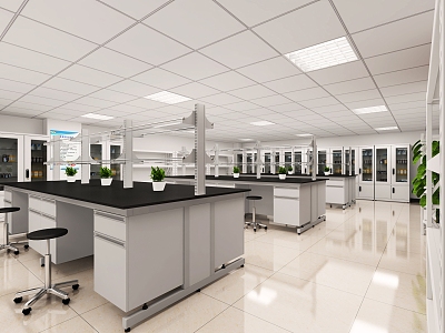 Laboratory 3d model