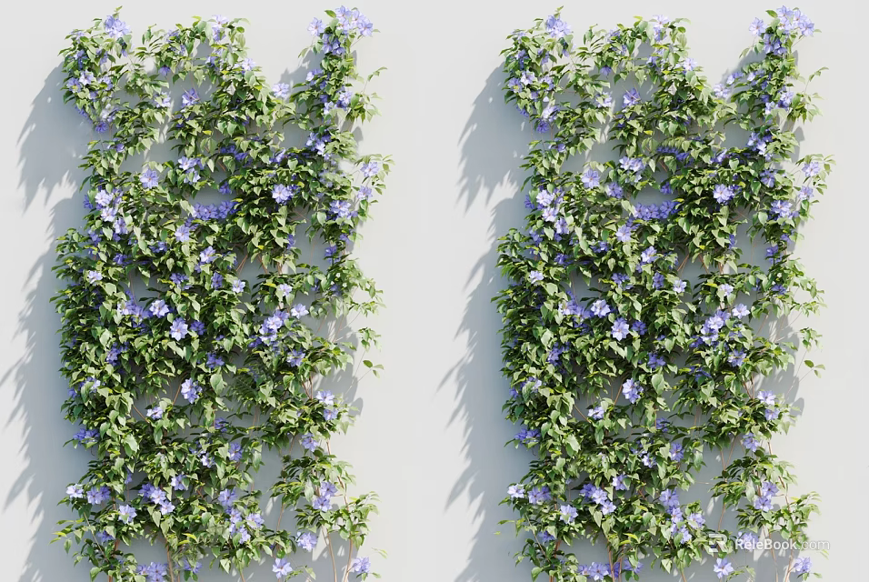Lush Green Vines With Purple Flowers Climbing On White Wall And Soft Light Shadows 3d model 
