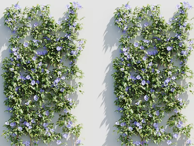 Lush Green Vines With Purple Flowers Climbing On White Wall And Soft Light Shadows 3d model
