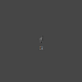 Slender Aquatic Fish With Elongated Gray Body And Streamlined Shape In Neutral Background
